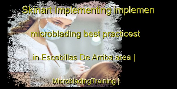 Skinart Implementing implemen microblading best practicest in Escobillas De Arriba area | MicrobladingTraining | MicrobladingClasses | SkinartTraining-Mexico